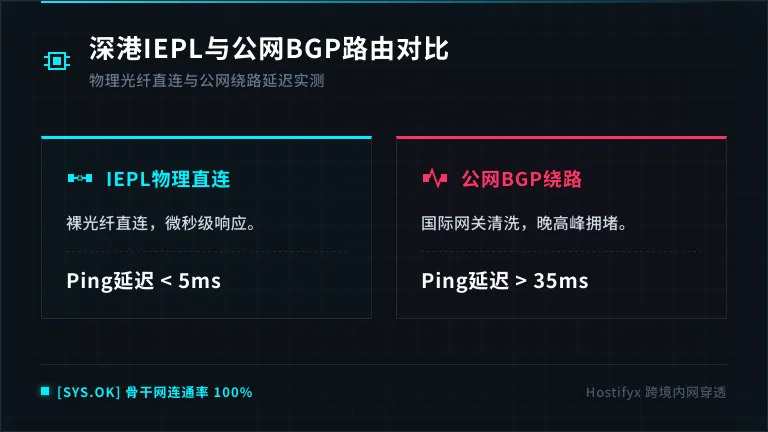 深圳到香港专线租用:3条IEPL内网穿透链路硬防与清洗 2 深港IEPL物理直连与公网BGP路由走向对比