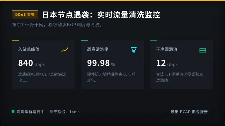 日本服务器被攻击时的流量监控