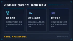 避坑韩国kt机房cn2：老运维教你查验真直连与假BGP