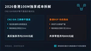 香港服务器100m独享多少钱？2026年CN2 GIA与普通BGP价格对比表