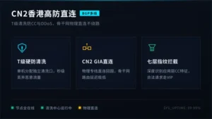 cn2香港高防服务器防CC与DDoS，直连不绕路