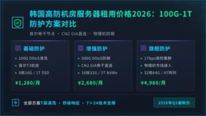 韩国高防机房服务器租用价格2026：100G-1T防护方案对比