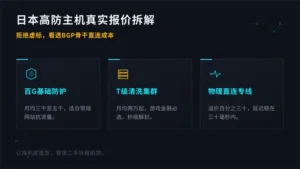 日本高防主机报价多少钱才合理业内人揭秘