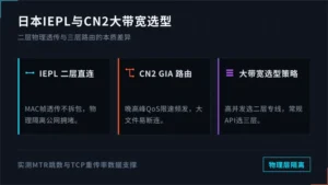 日本iepl和cn2区别看透，大带宽场景怎么选线路