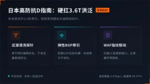 专业的日本高防服务器抗D指南：最高顶3.6T洪泛不拔网线