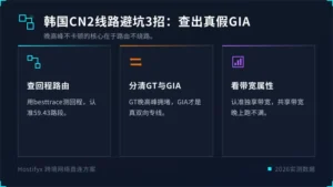 韩国服务器cn2线路避坑3招：查出真假CN2 GIA
