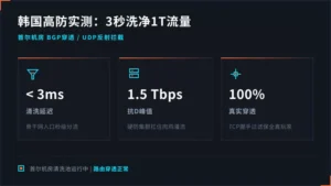韩国高防ddos防护实测：3秒洗掉1T流量不掉线