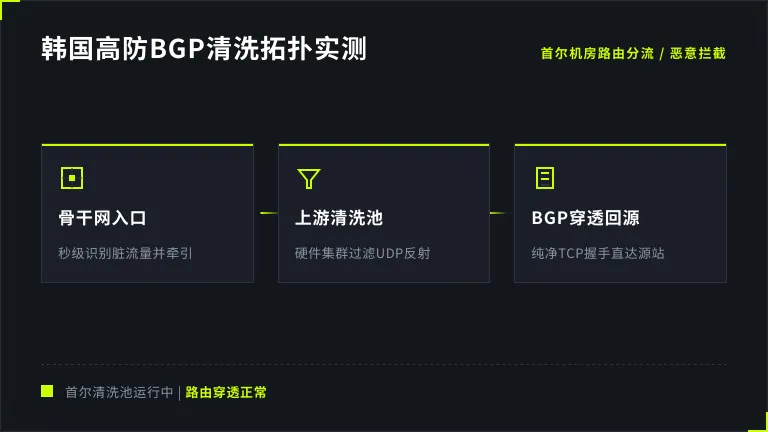 韩国机房上游清洗池BGP路由