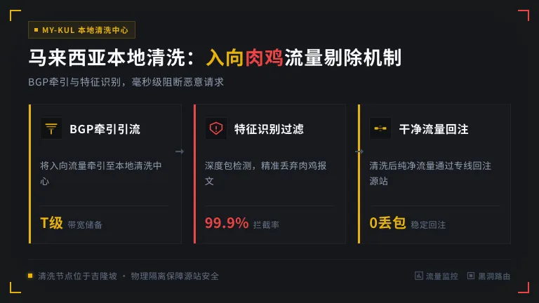 马来西亚本地DDoS流量清洗