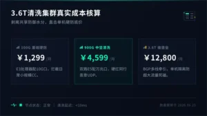 美国高防服务器价格表剖析：3.6T清洗集群真实成本核算
