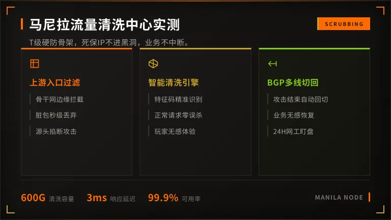 菲律宾马尼拉流量清洗中心