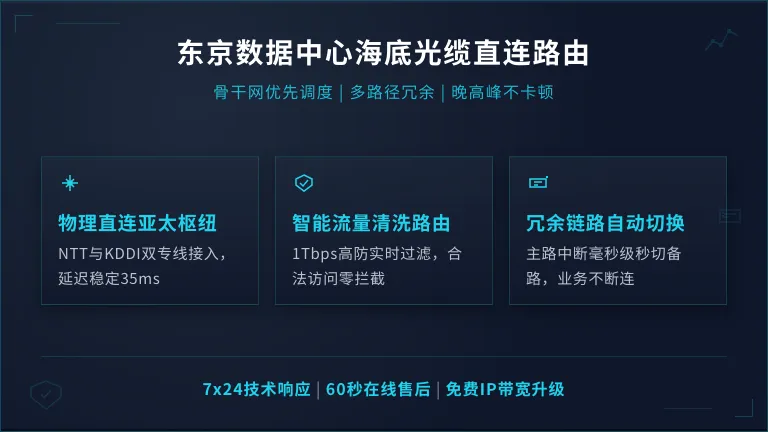 东京数据中心网络海底光缆直连路由优势