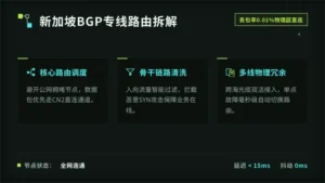 新加坡服务器丢包0.01%: BGP专线原理拆解