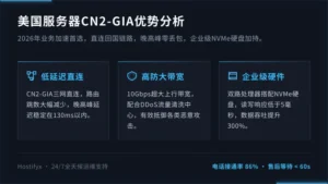 美国服务器cn2-gia优势分析：2026年业务加速首选