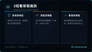 美国高防抗ddos攻击怎么选：3招看穿假高防