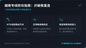 越南服务器线路防坑指南：3招识破假直连与高丢包