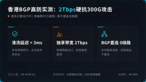 香港BGP高防服务器实测：2Tbps带宽如何扛住300G攻击