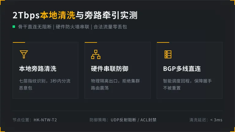 香港2Tbps本地清洗与旁路牵引网络