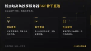新加坡多线机房CN2直连实测,搞定亚太业务TCP握手超时