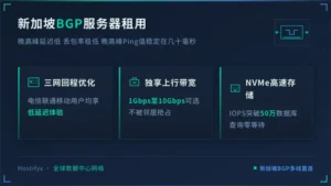 新加坡bgp服务器租用 晚高峰延迟低 丢包率极低