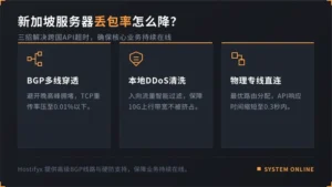 新加坡服务器丢包率怎么降？3招搞定跨国API超时