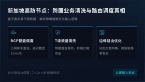 新加坡服务器推荐：跨国业务防DDoS清洗与3个路由调度真相