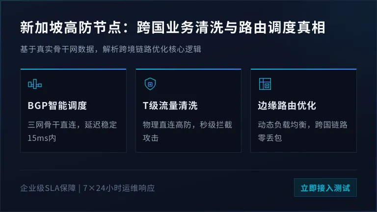 新加坡服务器推荐：跨国业务防DDoS清洗与3个路由调度真相