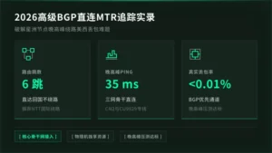 新加坡服务器延迟高？2026高级BGP直连线路MTR追踪实录
