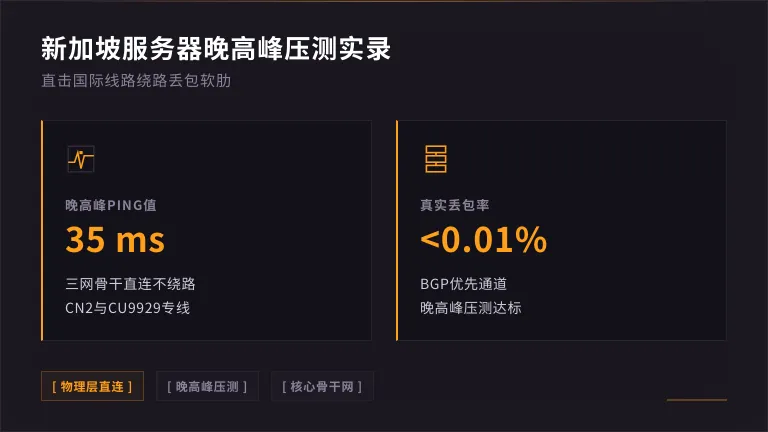 新加坡服务器晚高峰Ping值与丢包率