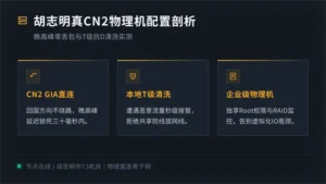 越南服务器哪家好?胡志明市真CN2物理机配置与避坑