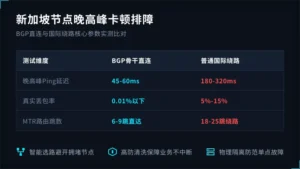 新加坡服务器晚高峰卡顿?1张表看懂BGP多线与绕路区别
