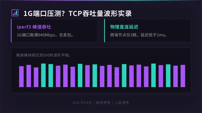 台湾专线服务器延迟高?5组IEPL直连通断实测报告 3 台湾专线服务器1G端口