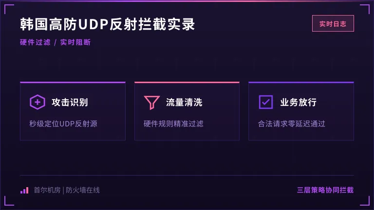 韩国服务器硬件防火墙拦截UDP反射攻击的真实日志