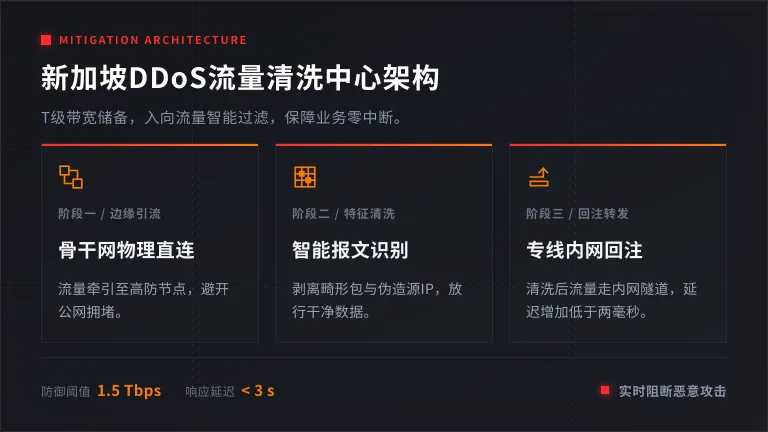 新加坡DDoS流量清洗中心架构