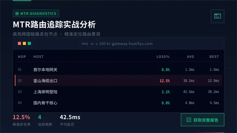 韩国服务器MTR路由追踪终端
