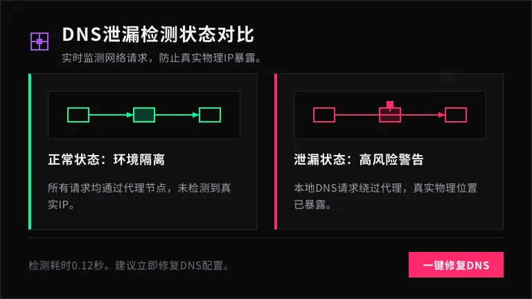 DNS泄漏检测