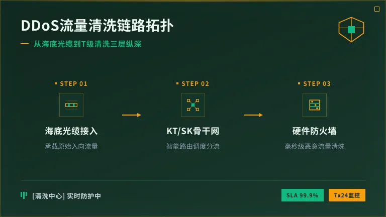 DDoS流量清洗流程，流量从海底光缆进入KT/SK网络，再到硬件防火墙清洗的流转过程