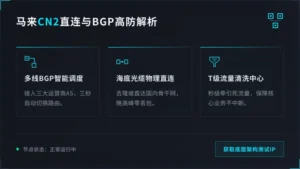 马来西亚服务器回国cn2怎么选?BGP多线冗余与DDoS防御解析