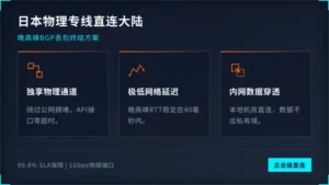 日本专线服务器到大陆防丢包指南：5个运维避坑参数