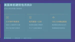 便宜的美国高防服务器包月抗D，告别云高防账单爆炸