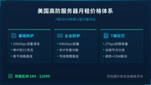美国高防服务器月租多少钱，扛T级攻击得花这几档钱