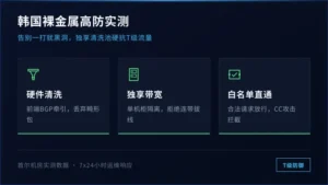 韩国高防ip推荐：韩国裸金属高防实测，告别一打就黑洞