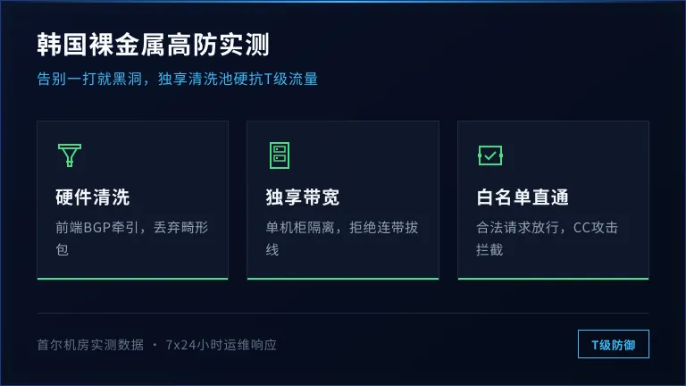 韩国高防ip推荐：韩国裸金属高防实测，告别一打就黑洞