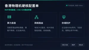 独立站seo香港服务器配置单，BGP多线直连路由硬核拆解