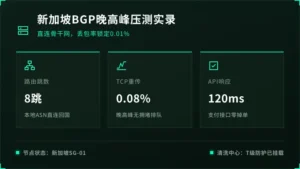 新加坡服务器bgp线路实测：晚高峰丢包率如何控制在0.01%内？