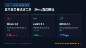 越南服务器延迟多少算正常？30ms直连专线避坑指南