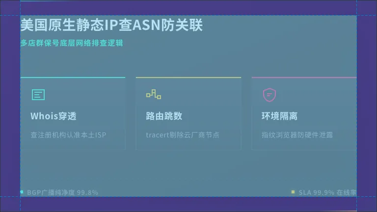 美国原生静态ip购买查ASN防关联：多店群保号硬干货