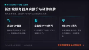 新加坡服务器价格水分有多大？扒一扒BGP多线与硬件配置底牌