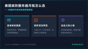 美国高防服务器月租价格怎么选？3招避开共享机房连带拔网线