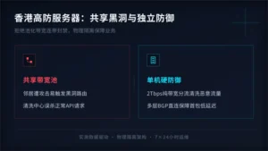 低延迟香港高防服务器真相：共享黑洞与独立防御对比